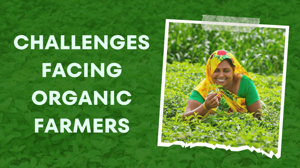 Challenges Facing Organic Farmers