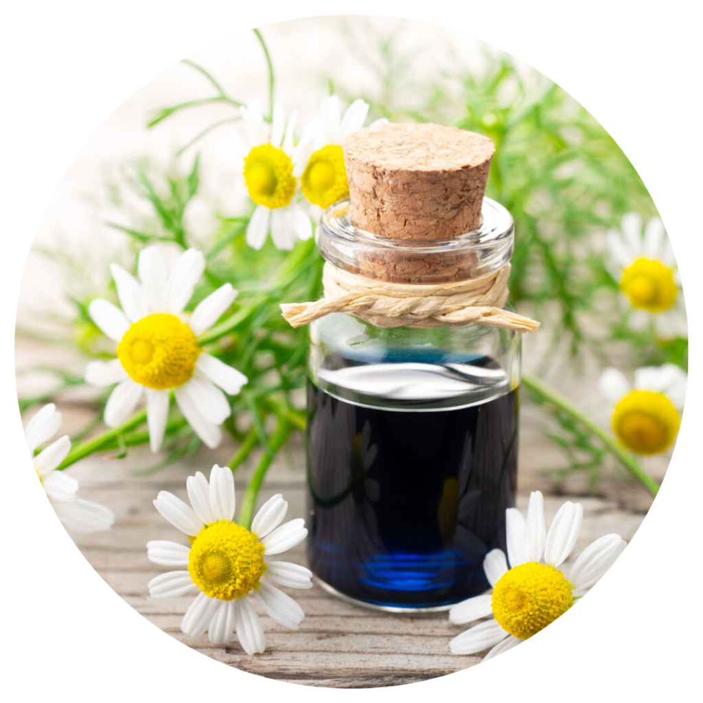 Chamomile oil (Matricaria chamomilla) Pavitramenthe Fair Organic Pvt Ltd