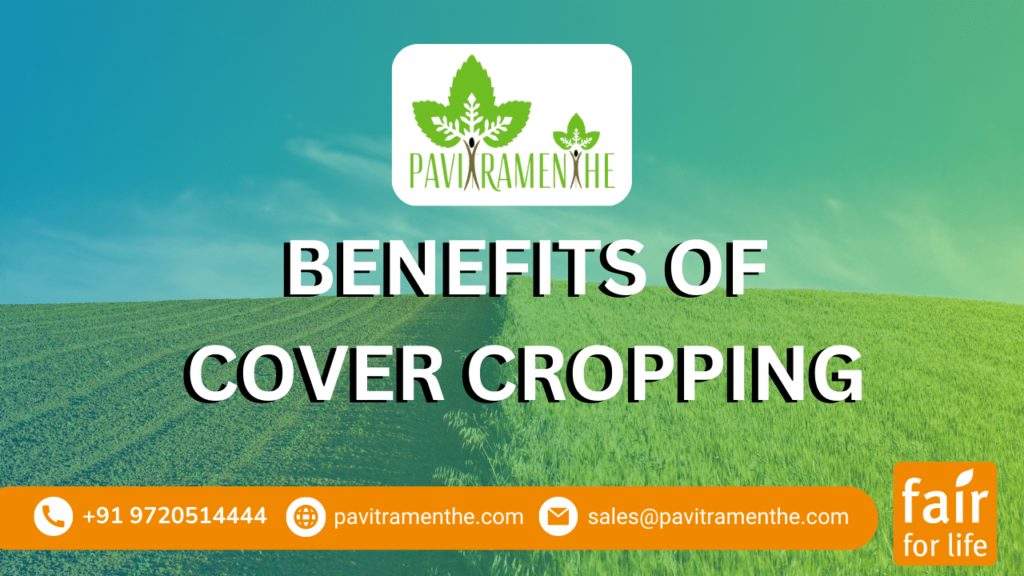 Benefits of Cover Cropping