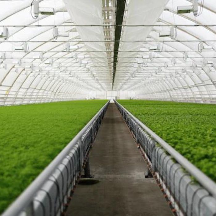 regenerative farming