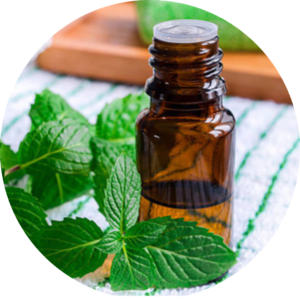 Mentha Products