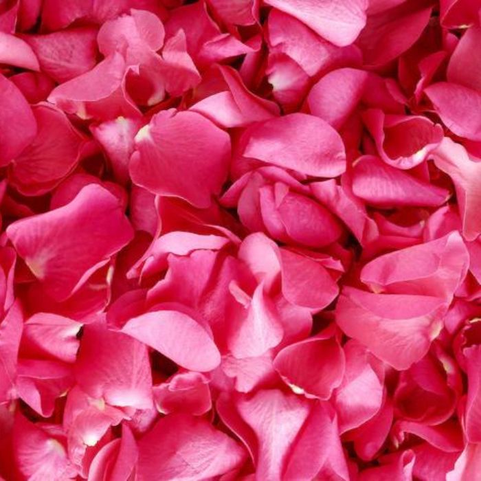 rose petals.