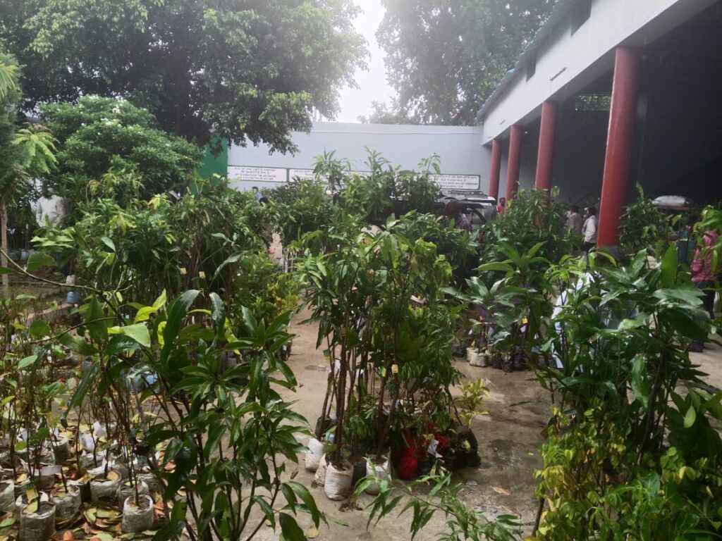 Biodiversity in organic farming