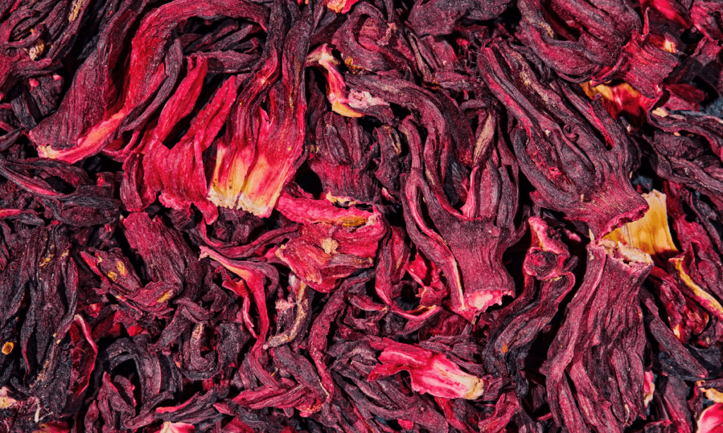 Dry Hibiscus Flower Supplier in India