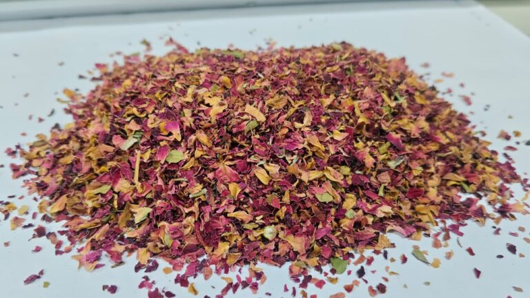 Dry Organic Rose Petals Supplier in India