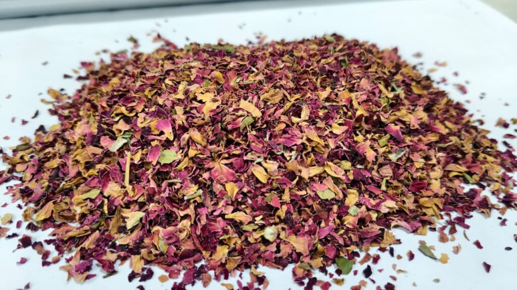 Dry Organic Rose Petals Supplier in India