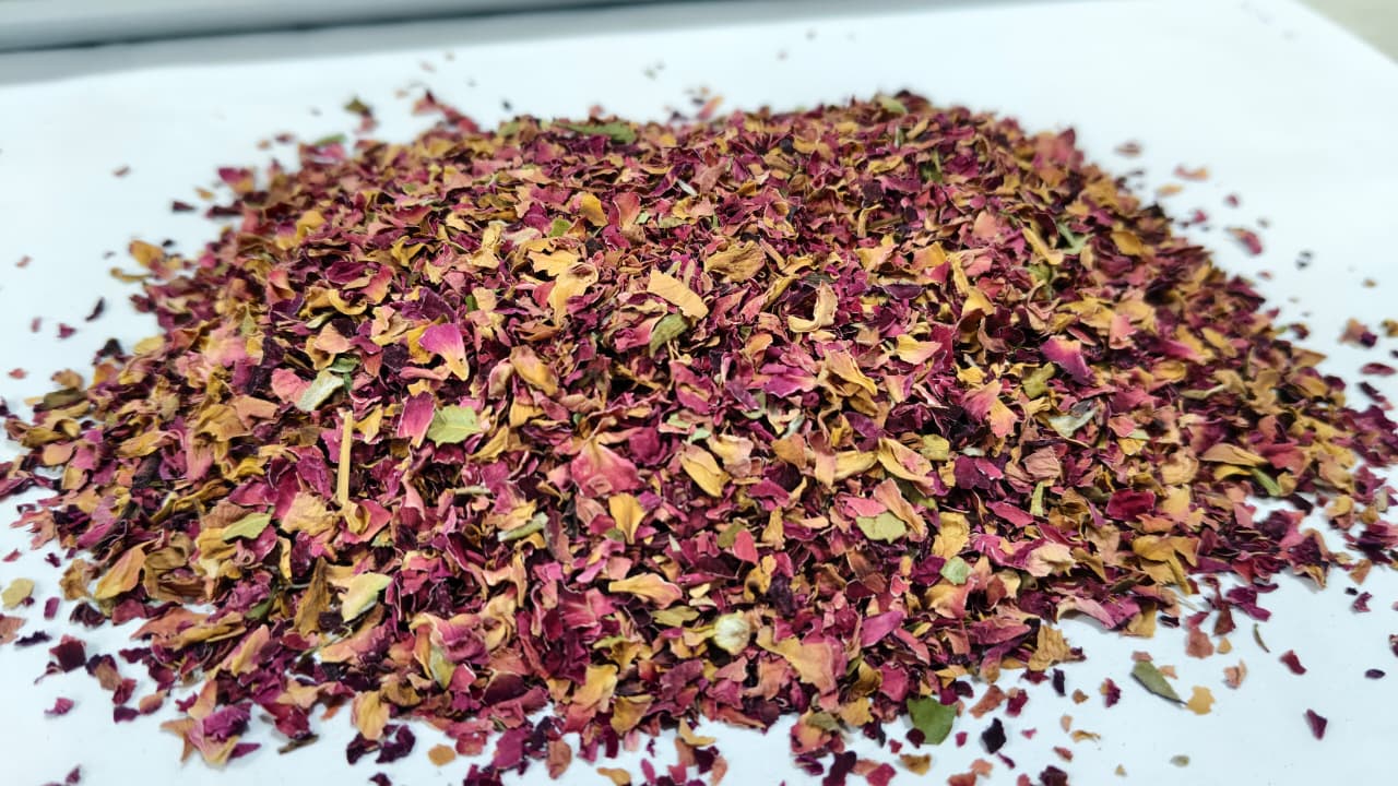 Dry Organic Rose Petals Supplier in India – Trusted Source for Global ...
