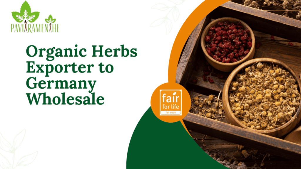 Organic Herbs Exporter to Germany Wholesale