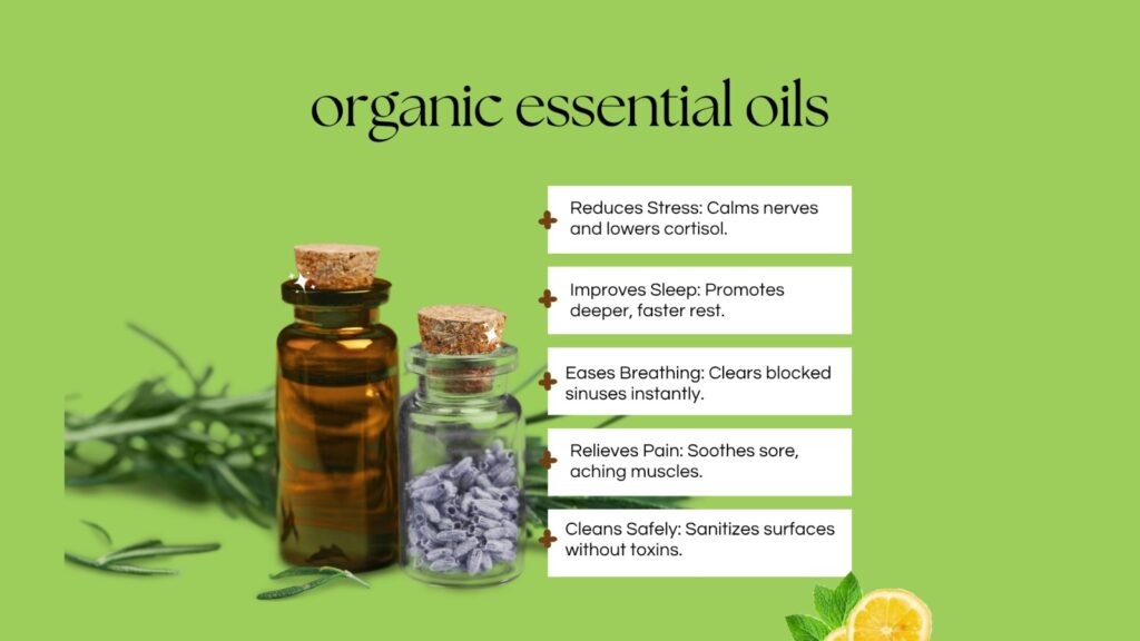 Bulk Essential Oil Suppliers in Europe Import