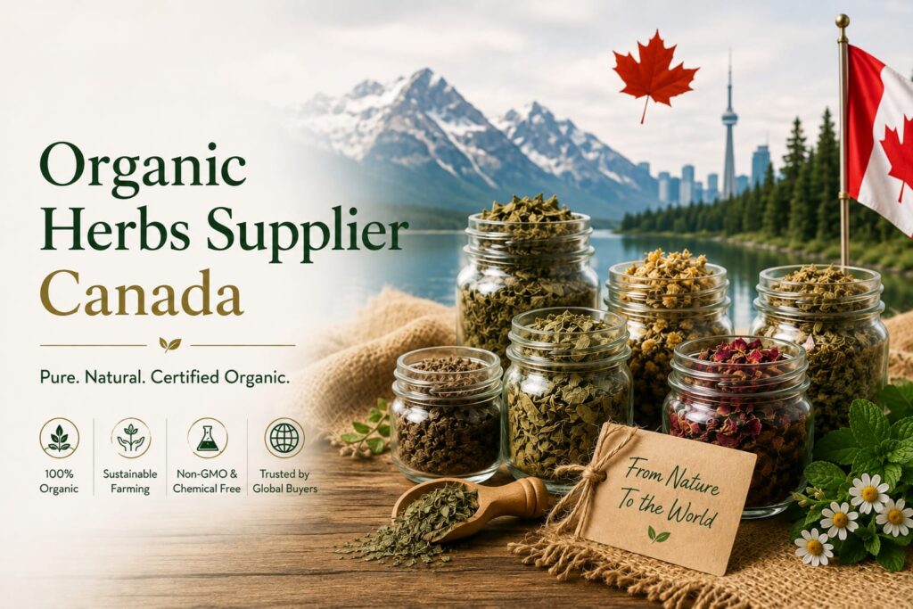 Organic Herbs Supplier Canada